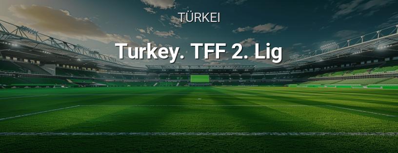 Türkei. 2. Liga Logo