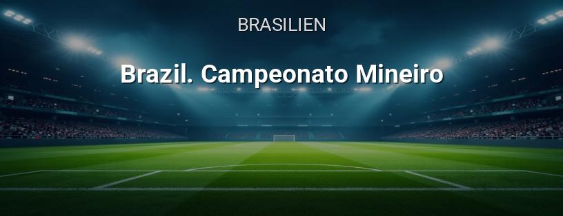 Brasilianische Meisterschaft. Liga Mineiro Logo