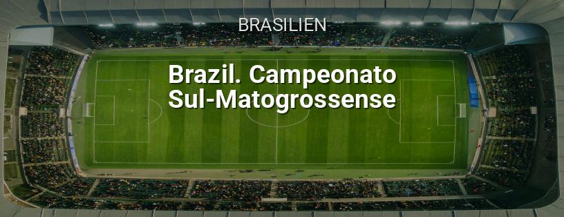 Brasilianische Meisterschaft. Sul-Mato-Grossense Liga Logo