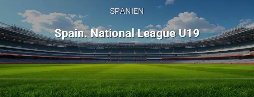Spanische Meisterschaft. Nationale U19-Liga Logo
