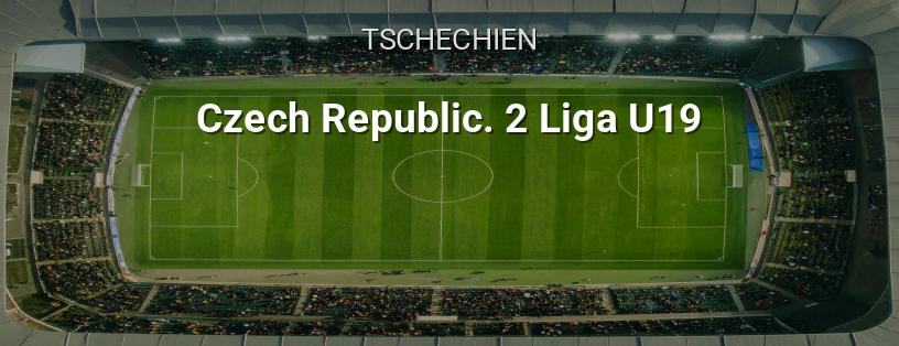 Tschechische Meisterschaft. Zweite U19-Liga Logo