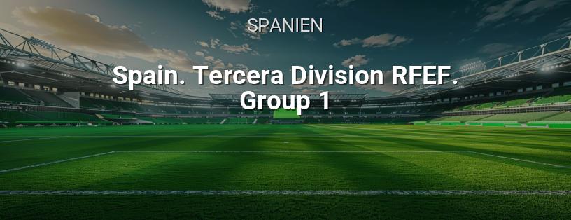 Spanische Meisterschaft. RFEF Dritte Division. Gruppe 1 Logo