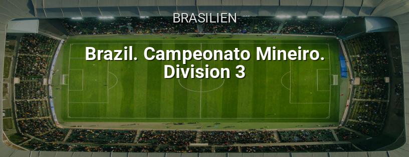Campeonato Brasileiro. Liga Mineira. 3. Division Logo