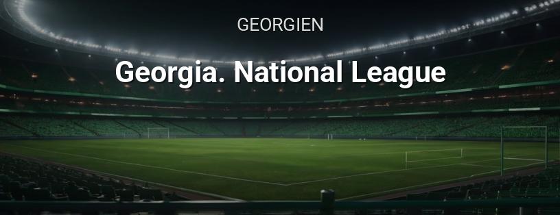 Georgische Meisterschaft. National Liga Logo