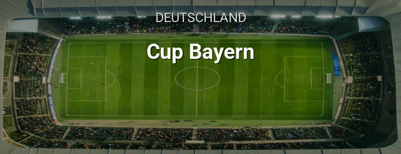 Bayerischer Pokal Logo