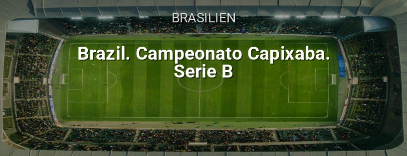 Brasilianische Meisterschaft. Campeonato Brasileiro Série B Logo