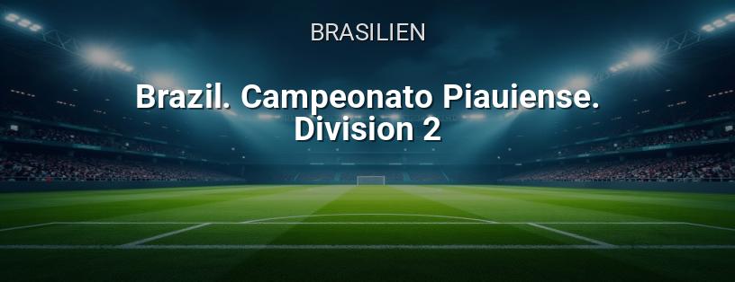 Brasilianische Meisterschaft. Piauiense Liga. 2. Division Logo