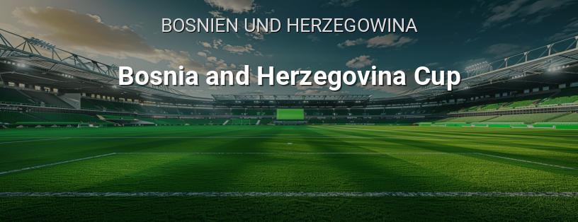 Kup Bosne i Hercegovine Logo