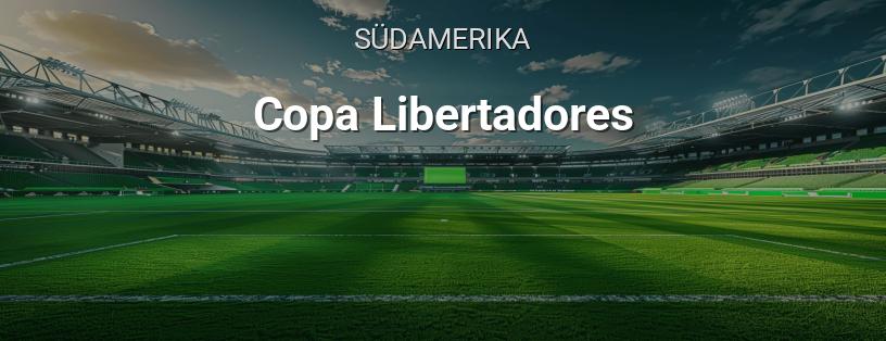 Copa Libertadores Logo