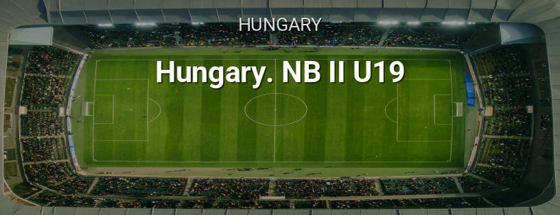 Hungarian Championship. Second U19 League logo