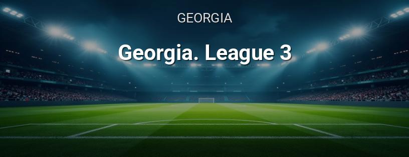 Georgian Championship. 3rd League logo
