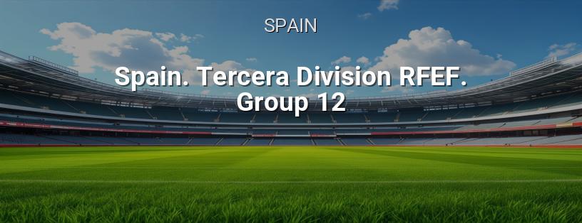 Spanish Championship. RFEF Third Division. Group 12 logo