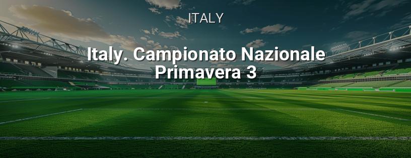 Italian Championship. Primavera 3 logo