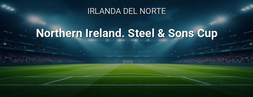 Irlanda del Norte. Copa de Acero logotipo