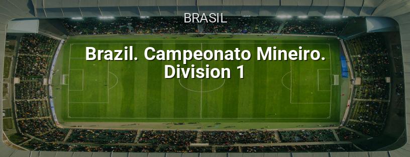 Campeonato de Brasil. Liga Mineiro. 1ª División logotipo