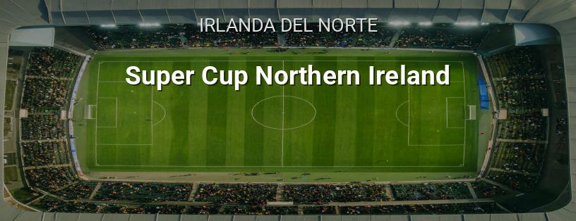 Community Shield de Irlanda del Norte logotipo