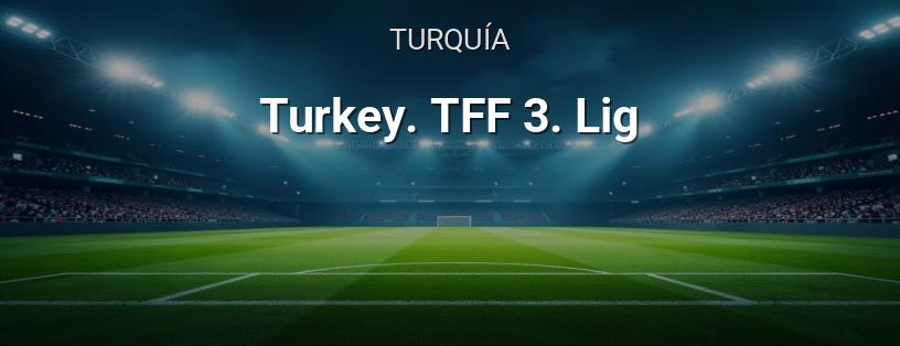 Campeonato de Turquía. Tercera Liga logotipo