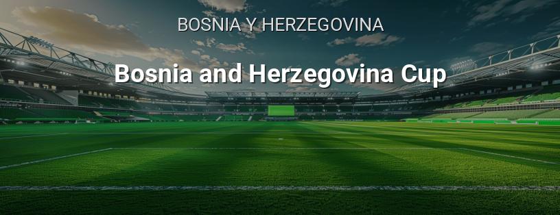 Copa de Bosnia y Herzegovina logotipo