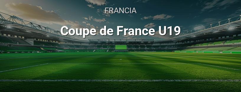 Copa de Francia Sub-19 logotipo