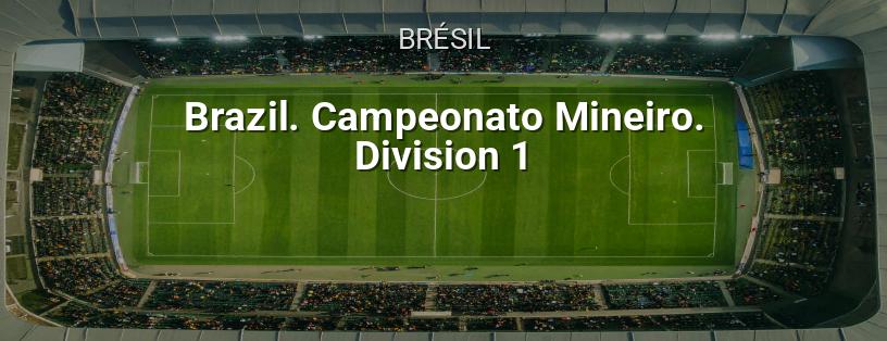 Championnat du Brésil. Ligue Mineiro. 1ère Division logo