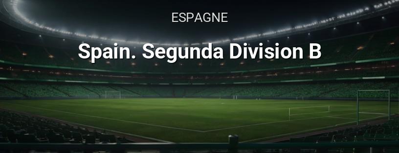 Championnat d'Espagne. Deuxième Division B logo