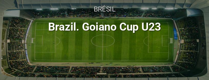 Brésil. Coupe Goiás U-23 logo