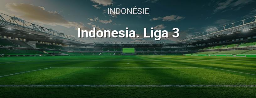 Indonésie. Liga 3 logo