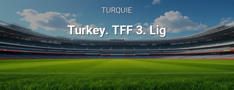 Turquie. 3e Ligue logo