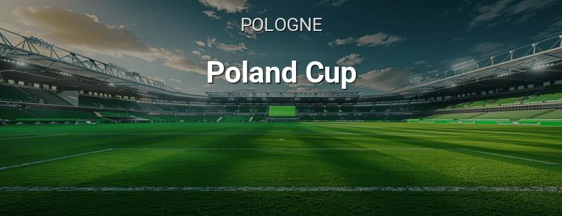 Coupe de Pologne logo