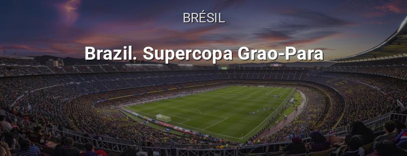 Supercoupe de l'État de Grão-Pará logo