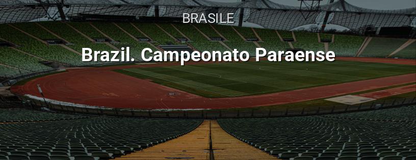 Campionato Brasiliano. Lega Paranaense logo
