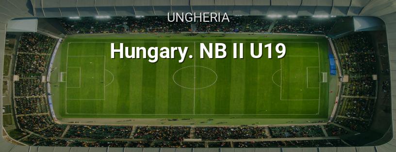 Campionato Ungherese. Seconda Lega Under 19 logo