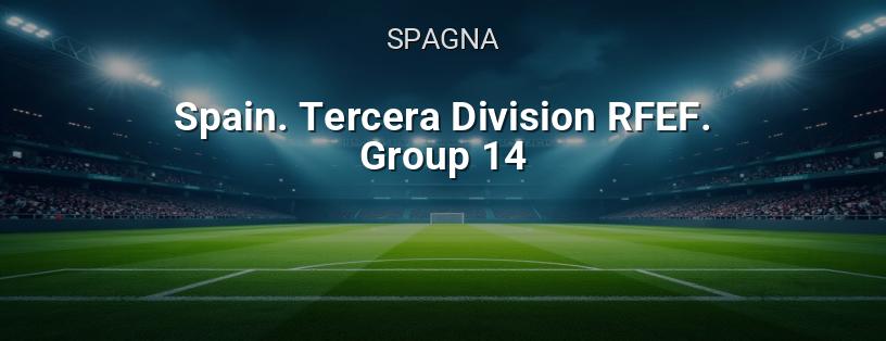 Campionato Spagnolo. Terza Divisione RFEF. Gruppo 14 logo