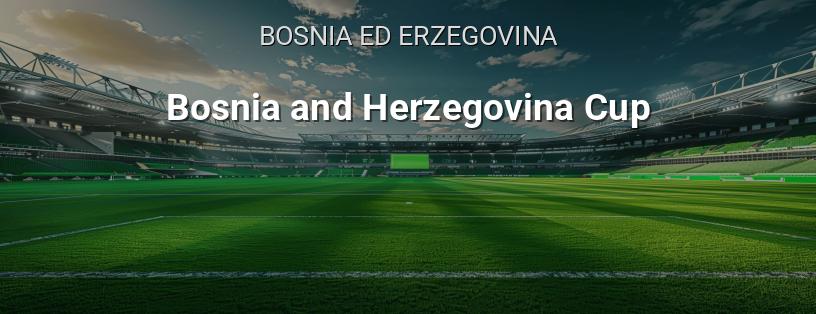 Coppa di Bosnia ed Erzegovina logo
