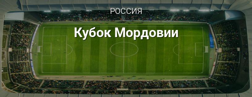 Кубок Мордовии логотип