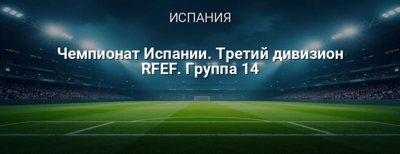 Чемпионат Испании. Третий дивизион RFEF. Группа 14 логотип