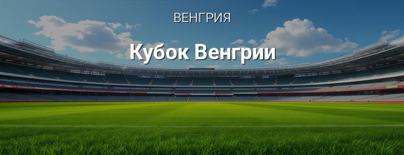 Кубок Венгрии логотип