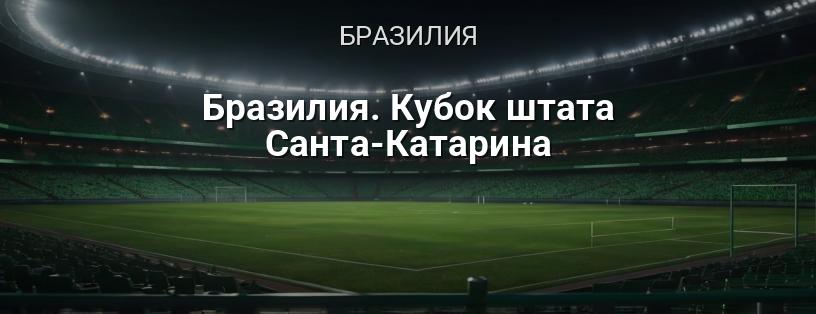 Бразилия. Кубок штата Санта-Катарина логотип