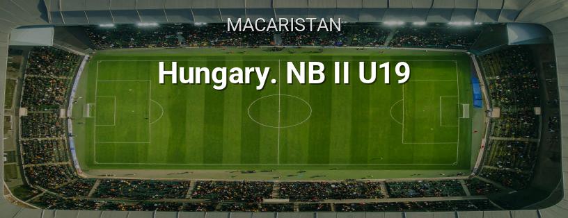 Macaristan Şampiyonası. İkinci U19 Ligi logo