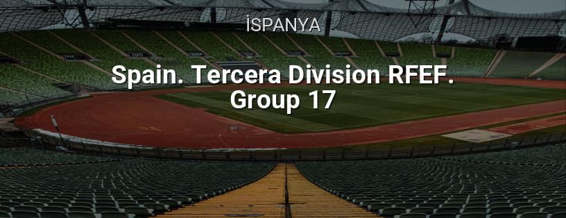 İspanya Şampiyonası. RFEF Üçüncü División. Grup 17 logo
