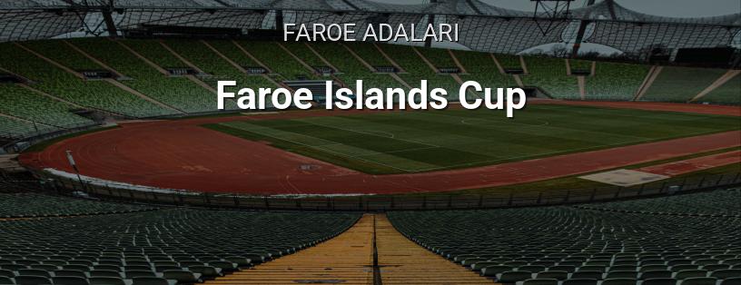 Faroe Adaları Kupası logo