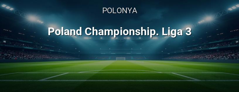 Polonya Şampiyonası. Liga 3 logo