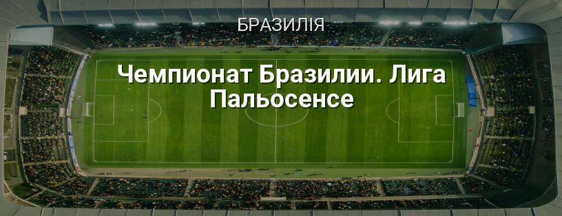 Чемпіонат Бразилії. Ліга Пальосенсе логотип
