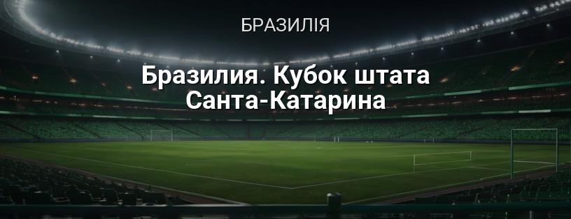 Бразилія. Кубок штату Санта-Катарина логотип